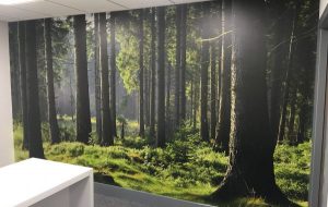 Wall Graphic Installations